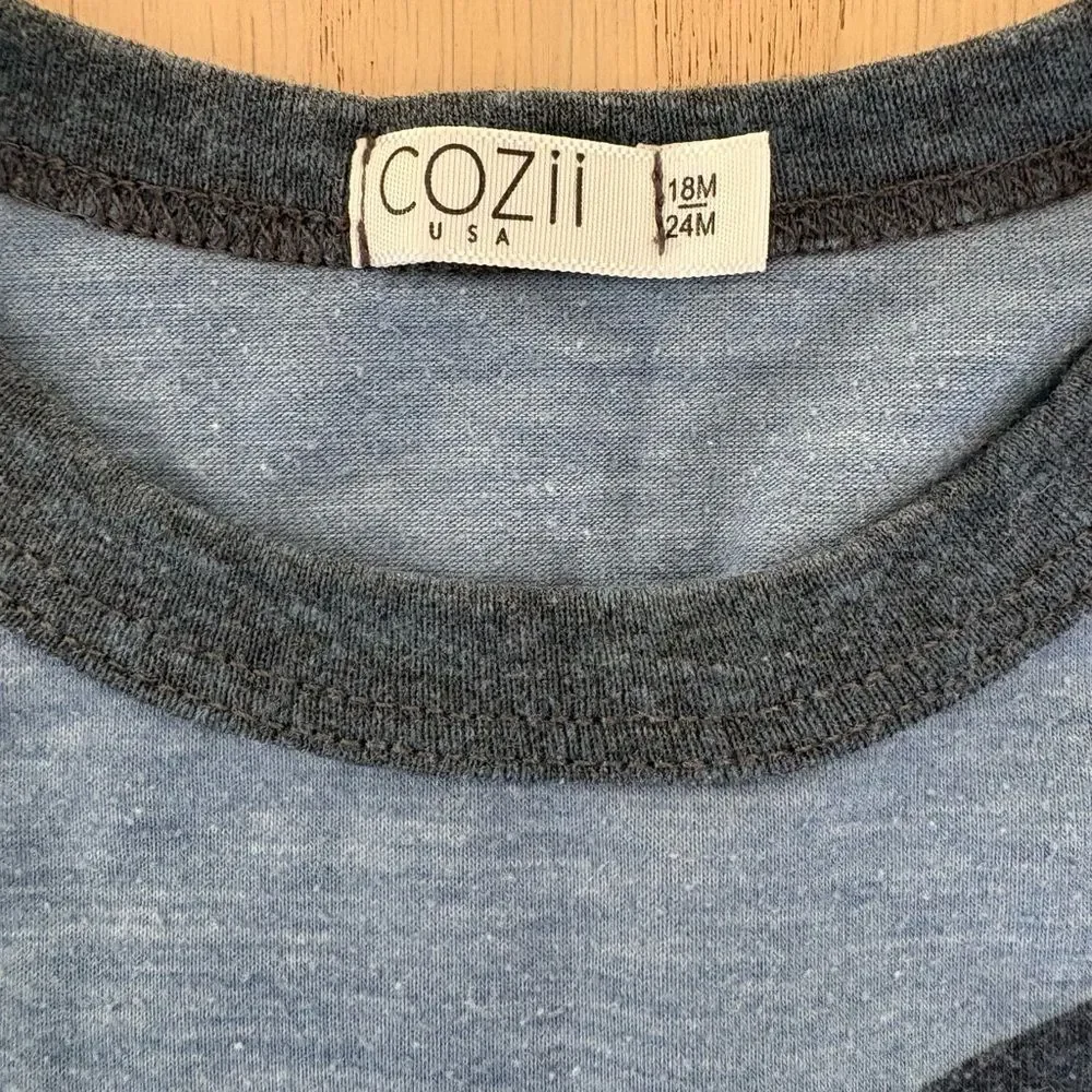 Cozii Kids Blue Star Print Organic 2-Piece Set